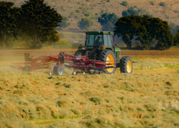 Culturas mais lucrativas no Brasil em 2026: o que plantar para ganhar dinheiro no agro