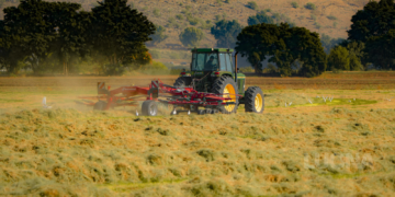 Culturas mais lucrativas no Brasil em 2026: o que plantar para ganhar dinheiro no agro