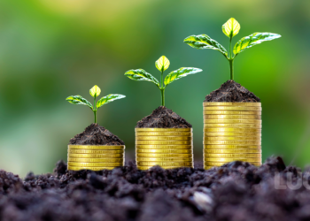 Como criar Hábitos Financeiros Saudáveis: O guia completo para Organizar sua Vida Financeira