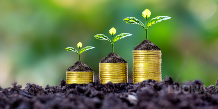 Como criar Hábitos Financeiros Saudáveis: O guia completo para Organizar sua Vida Financeira