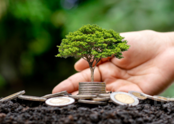 Como definir objetivos financeiros realistas e aumentar suas chances de alcançá-los